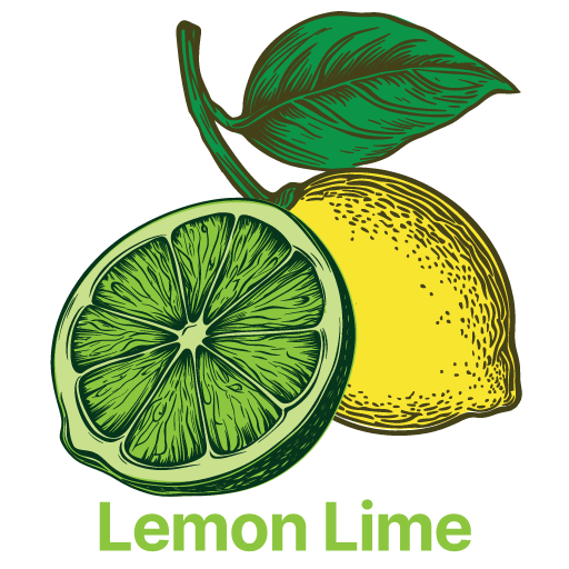 Lemon Lime Scented Air Freshener from Dakota Products