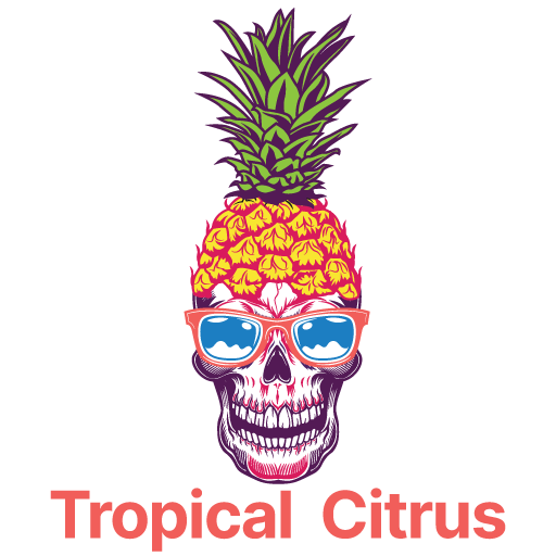 Tropical Citrus Scented Air Freshener from Dakota Products
