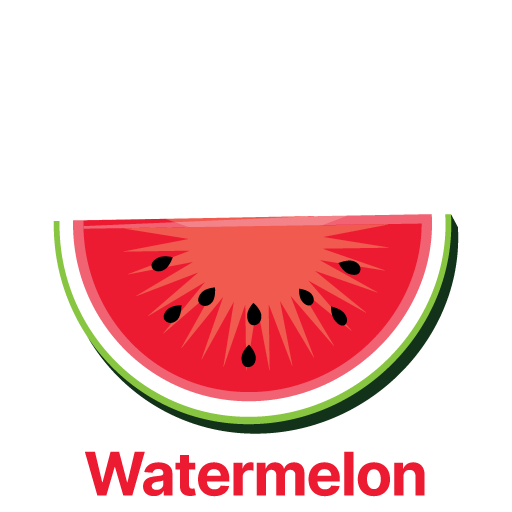 Watermelon Scented Air Freshener from Dakota Products